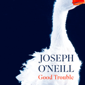 cover image of Good Trouble